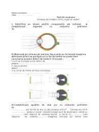 Istoria folosirii lentilelor de contact ca instrument optic de corectare a vederii este destul de recentă, acestea devenind în timp din ce în ce mai performante. V AÈi Gandit VreodatÄ SÄ FaceÈi Un Test De Vedere FaceÈi L Aici Test De Vedere A Ochilor