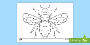 Make a coloring book with bee beehive for one click. Bee Template Colouring Sheets Ks2 Teacher Made