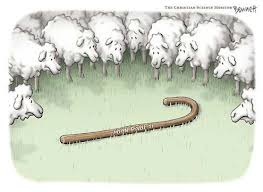 Resultado de imagem para Mt 9,35-10,8