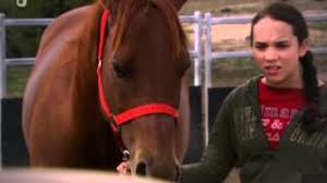 Les personnages ont chacunes leur lot de difficultés, stephanie est de nature impulsive ce qui lui pose souvent problèmes. Erik Download Grand Galop S3 Le Choix De Lisa Partie 5 For Mp3 Mp4 Video Online Convert Grand Galop S3 Le Choix De Lisa Partie 5 To Mp3