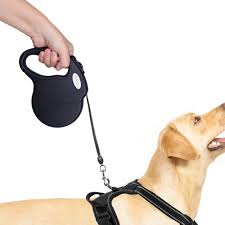 Rabbitgoo Laisse Retractable Pour Chien Pour Toutes Les Tailles De Chien Jusqu A 50kg Extensible A 5m Laisse Solide En Polyester Avec Chien Animalerie Et Poignee