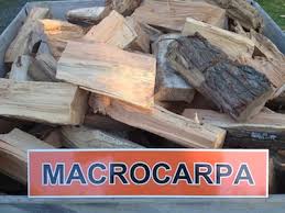 Find out how to can get free firewood & save a fortune on heating costs! Wood Order Meeanee Firewood 2021 Ltd