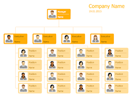 company organizational template online charts collection