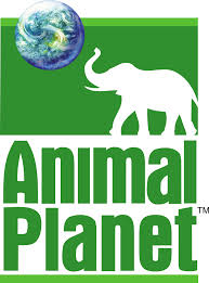 Animal Planet Canada Animal Planet Animals Planet Logo