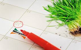 Maybe you would like to learn more about one of these? Milorganite Fertilizer For Better Results