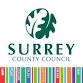 Esher Library – Art Club for adults event in Esher