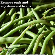 Check spelling or type a new query. Freezing Green Beans With Or Without Blanching Step By Step