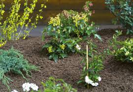 975 likes · 10 were here. Gerbsaurefreie Bodenabdeckung Fordert Pflanzenwachstum Kommunikation2b