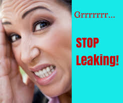 Play (Completion Sports #1) by Holly S. Roberts