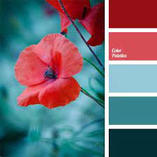 Color Palette 979 Colour Schemes Color Schemes Color Palette