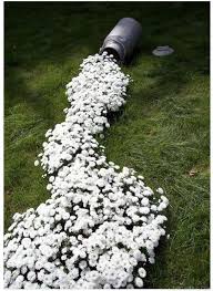 10 Planters That Will Spill Fragrant Flowers Into Your Garden Garden Design Pictures Garden Inspiration Garden Projects