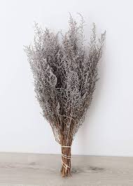 Image result for Stoebe