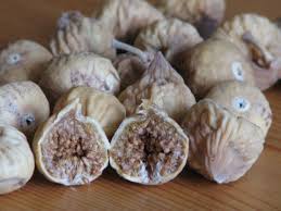 Image result for Ficus sycomorus