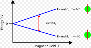 See what zeeman (zeemanh) has discovered on pinterest, the world's biggest collection of ideas. Efek Zeeman Resonansi Magnetik Nuklir Tingkat Energi Gambar Png