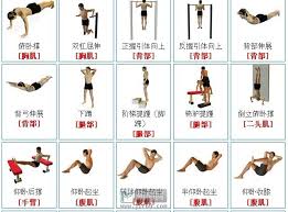 Search for text in url. å¥èº«å™¨æ è‚Œè‚‰ç½'