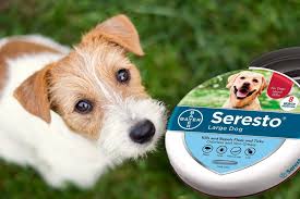 It won't be proved good for the canines that are sensitive to some pesticides. Popular Flea Collar Reportedly Linked To 1 700 Pet Deaths