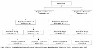 Poisoning By Toxic Plants In Hong Kong A 15 Year Review Hkmj