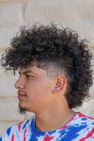 The faux hawk hairstyle is a great hairstyle for men with curly hair and is not the first time i blog about it. Curly Mohawk Men Promotions