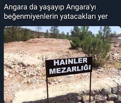 Feyzaozturk Adli Kullanicinin Komik Panosundaki Pin 2020 Komik Seyler Komik Komik Resimler