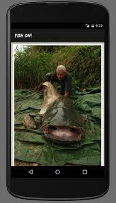 You can win a lot there and lose a lot, depending on your turn. River Monsters Fish On For Android Apk Download