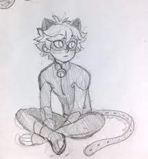 Miraculous Tales Of Ladybug And Cat Noir Cat Noir Ladybug And Cat Noir Drawings Cat Noir Drawing Miraculous Drawings