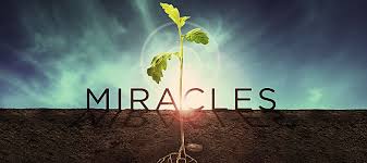 Image result for miracle