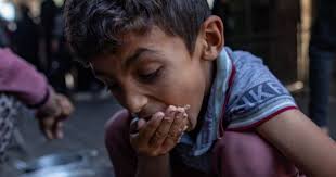 Peace Research Center Prague (@prcp.cuni.cz) — Bluesky