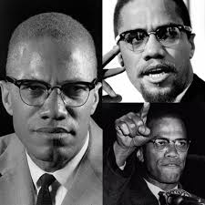My alma mater was books, a good library…. I could spend the rest of my life  reading, just satisfying my curiosity.” ~Malcolm X (African American Muslim  minister and human rights activist)