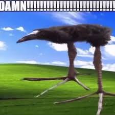 images?q=tbn:ANd9GcQrZDktMkQHl1ybtPqlF0X