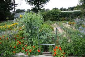 Consultez nos 331annonces sur leboncoin ! 15 Materiaux Naturels Gratuits Pour Rendre Votre Terre Vivante Et Fertile Le Blog Du Jardinier Bio