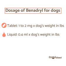 Benadryl For Dogs Guide For Dosage Side Effects And Tips Benadryl Dog Benadryl Dogs