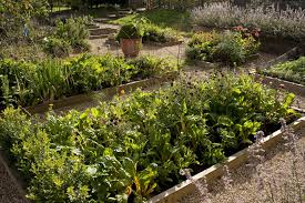Maybe you would like to learn more about one of these? Best Raised Vegetable Garden Beds Laptrinhx News