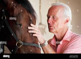 Horse racing horses hi-res stock photography and images