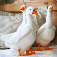 Mother Goose Toys That Teach Plush Stuffed Goose Farmyard Stuffed Animals Sewing Stuffed Animals Mother Goose Farm Yard