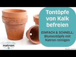 Blumentopf Reinigen Tontopfe Mit Natron Von Kalk Befreien Youtube Blumentopf Blumentopfe Aus Ton Tipps Und Tricks