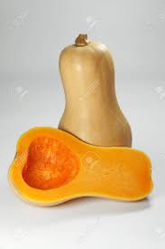 Image result for Cucurbita moschata