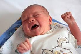 Fotogalerie: Právě jsme se narodili