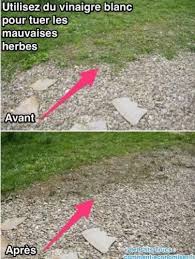 Desherbant Naturel Fait Maison A L Efficacite Redoutable Desherbant Naturel Mauvaises Herbes Mauvais Herbe
