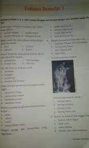 Beberapa fitur unggulan dalam aplikasi ini antara lain: Pelajaran Prakaryakelas Viiievaluasi Semester I Halaman 117 118 Brainly Co Id