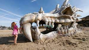 Giant Dragon Skull Discovered On Dorset Beach Game Of Thrones Dragons British Beaches Charmouth Beach
