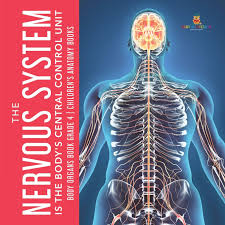 300x304 nervous system diagrams, functions, structure central nervous. The Nervous System Is The Body S Central Control Unit Body Organs Book Grade 4 Children S Anatomy Books Professor Baby 9781541953451 Amazon Com Books