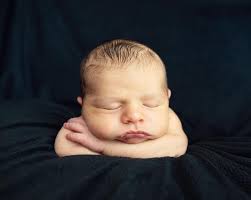 This handsome little guy is my great...