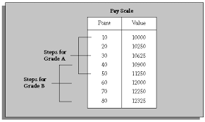 Oracle Human Resources Management Systems Compensation And