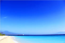 Gambar background dinding bata dan rumput. 67 Ide Pulau Tabuhan Banyuwangi Tabuhan Pulau Bali