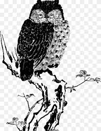 Lukisan hitam putih, tapanuli, sumatera utara, indonesia. Burung Hantu Hitam Putih Png Pngwing