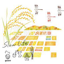 田園 風景 1 秋 デザイン イラスト カタログデザイン 稲穂 イラスト