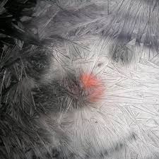 Distribuția filmului este alcătuită din: Flori De Gheata Spray 150ml Articole De Baza Pentru Creatii De Craciun Arthobbycreativ