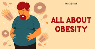 Image result for Obesity