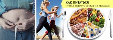 как питаться чтобы набрать мышечную массу и сжечь жир Kak Pitatsya Chtoby Szhigat Zhir A Ne Myshcy