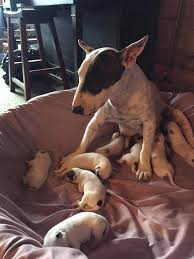 Check spelling or type a new query. Facebook